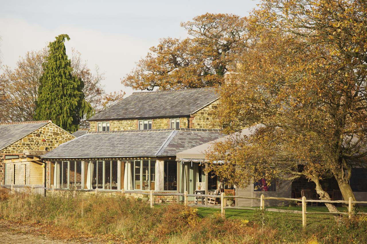 The Welldiggers Arms Bed & Breakfast Petworth Exterior foto